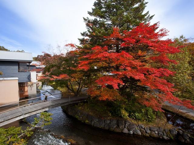 Hoshinoya Karuizawa Villa Bekvemmeligheder billede